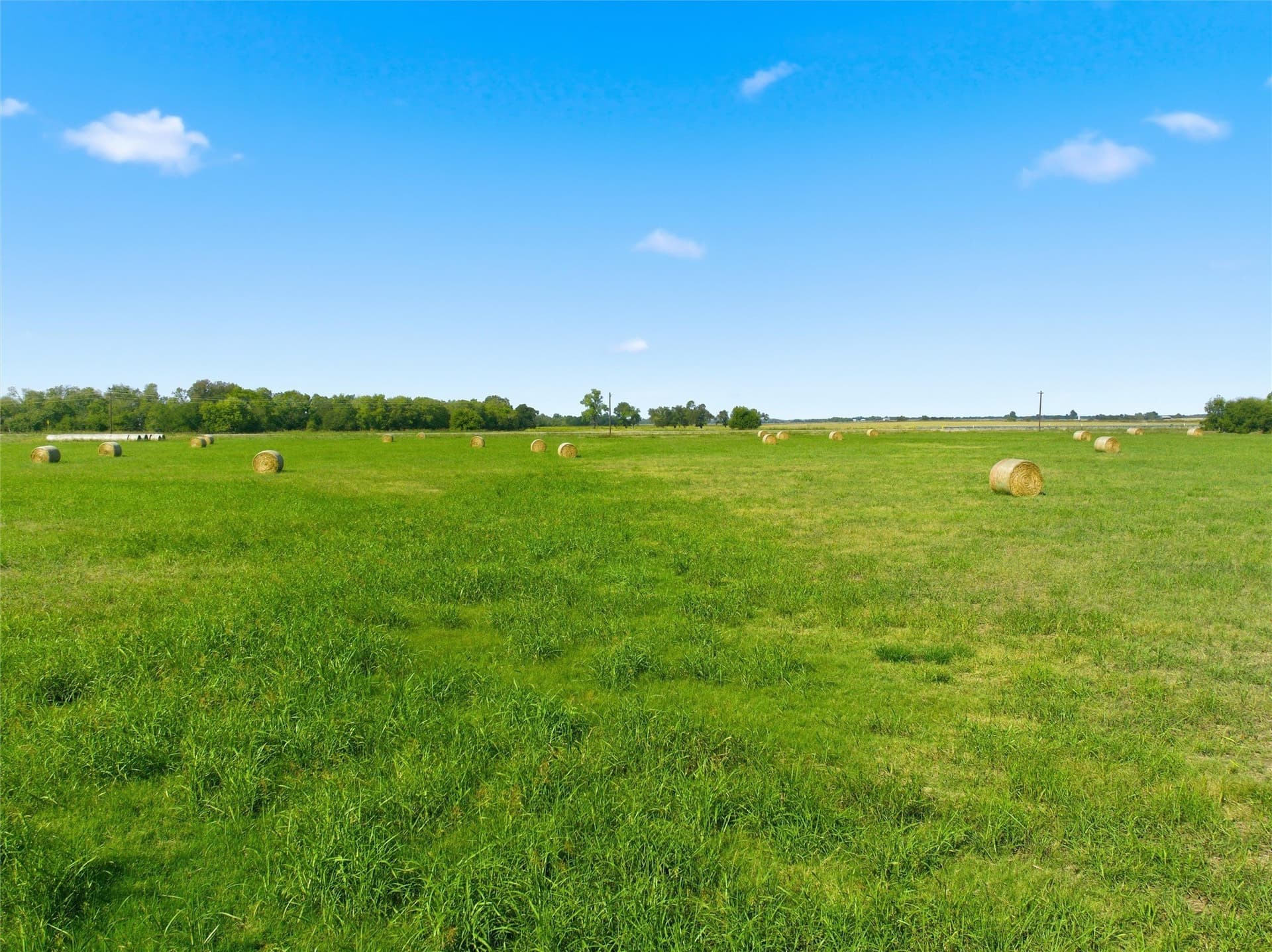 22.7 acres in Falls County - photo 6