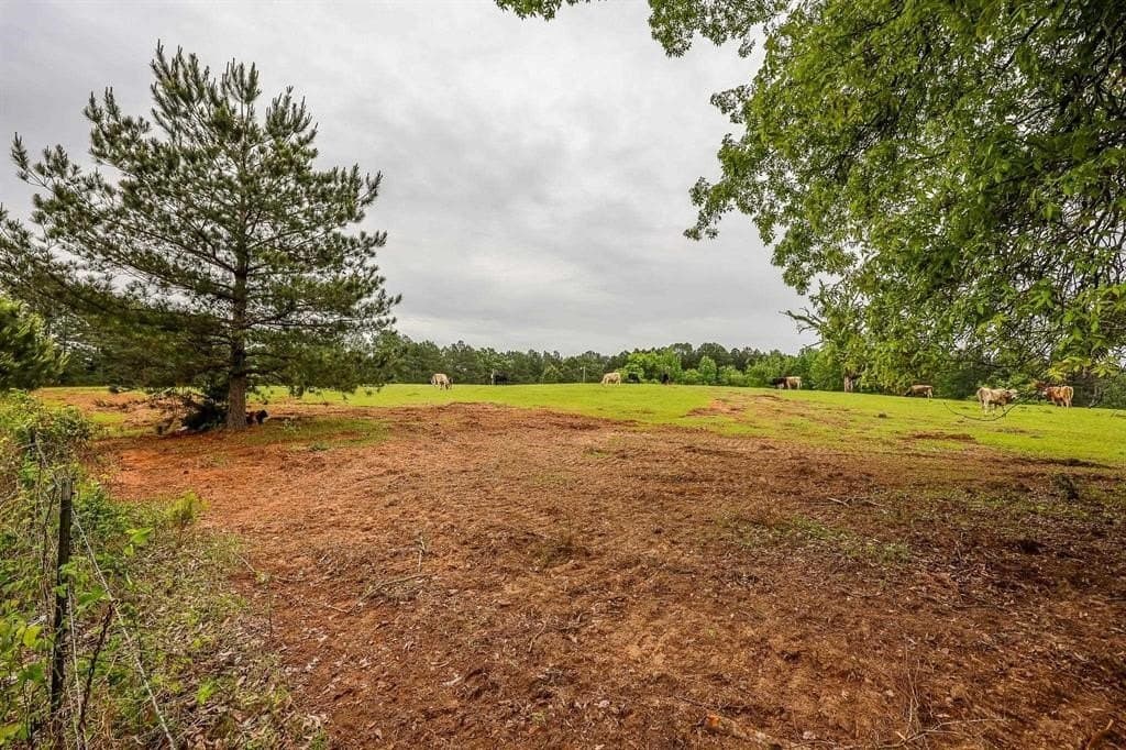 118 acres in Harrison County gallery image 2