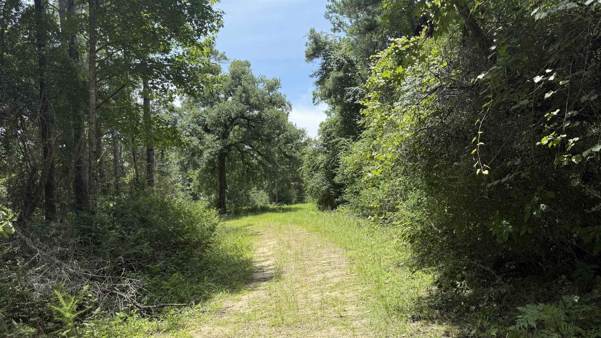 11.68 acres in Texas County - photo 3