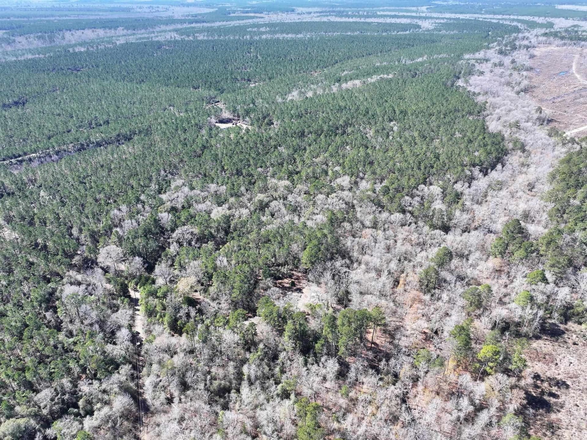11.68 acres in Texas County - photo 12