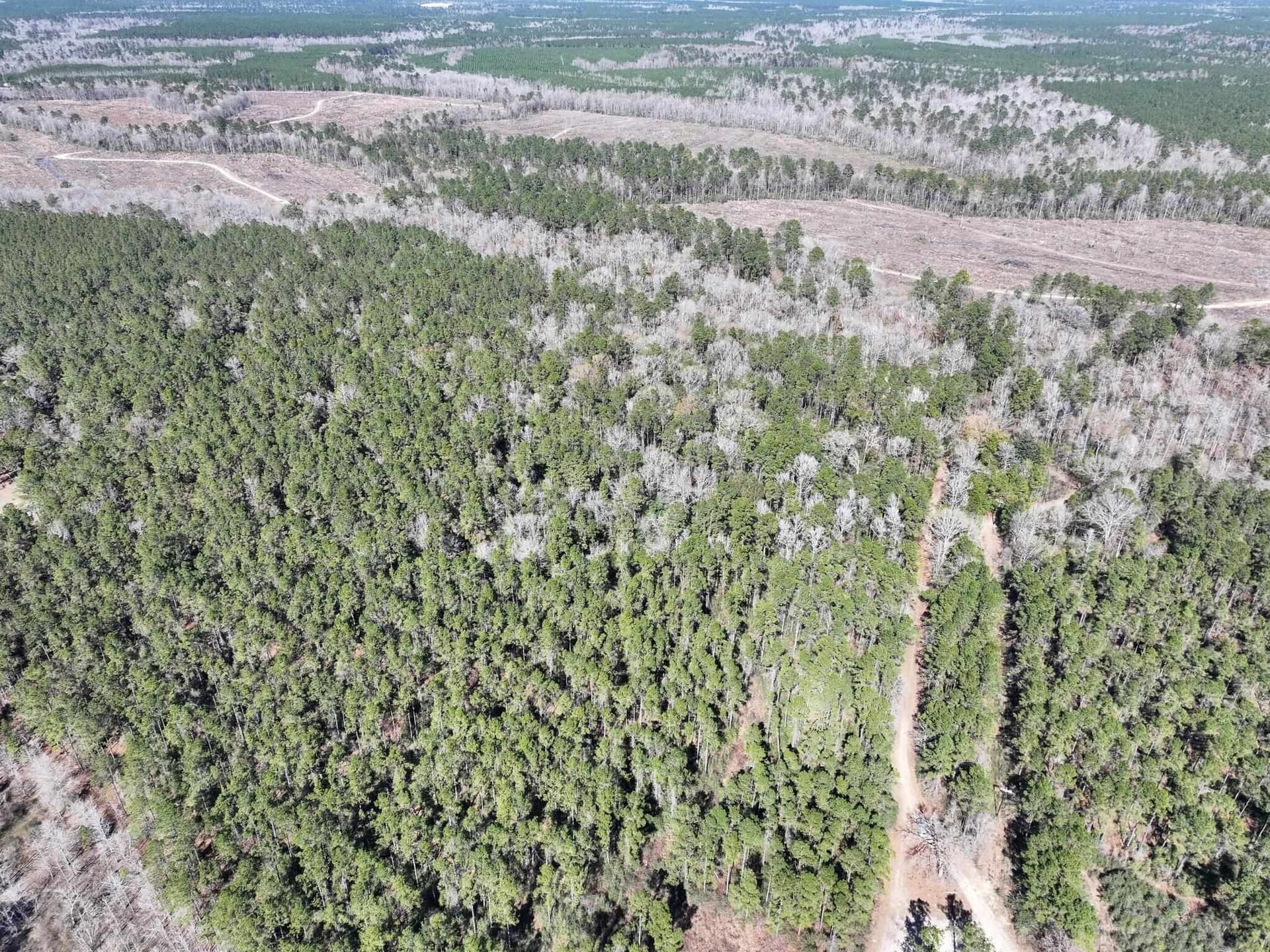 11.68 acres in Texas County - photo 16