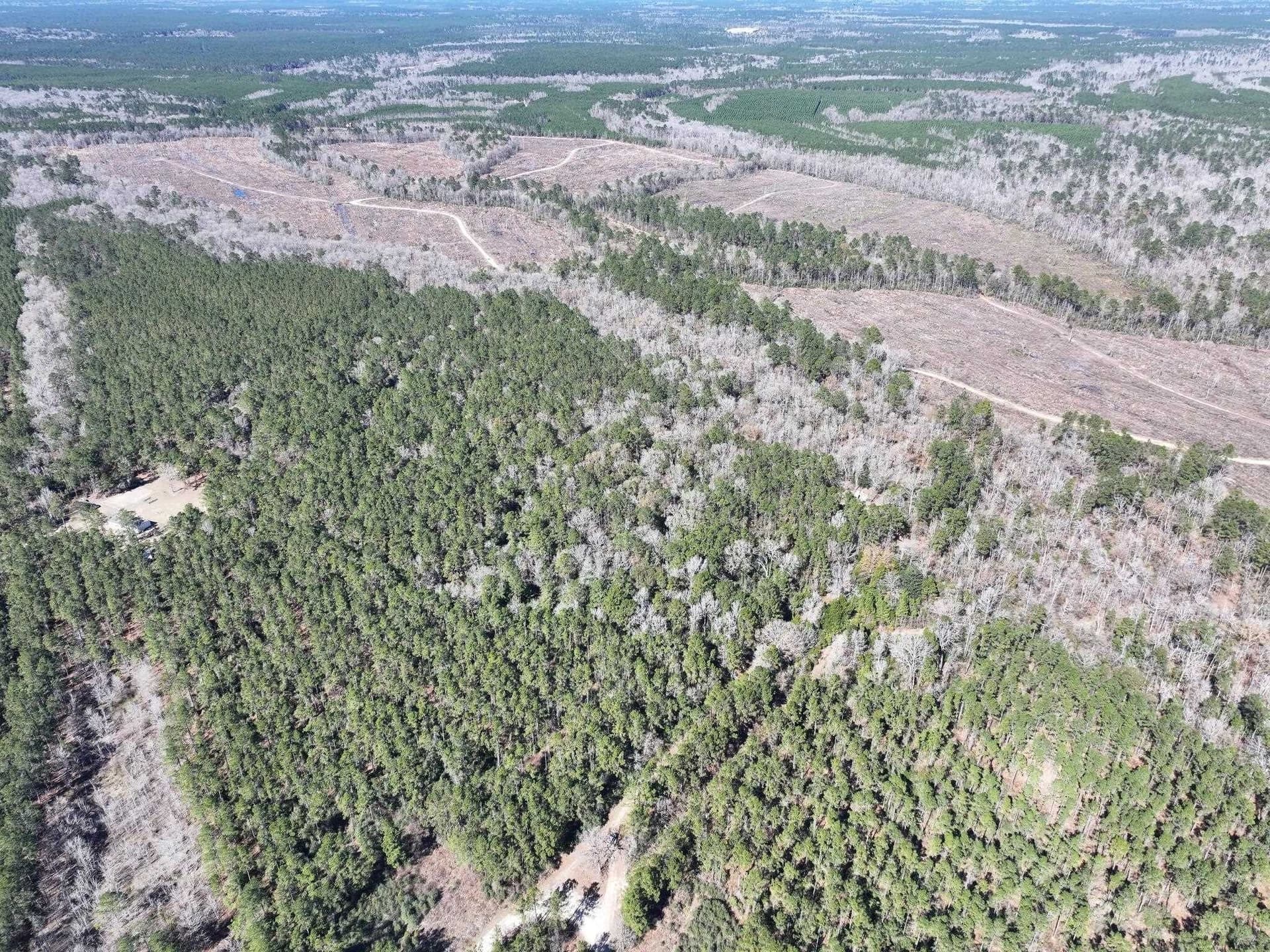 11.68 acres in Texas County - photo 20