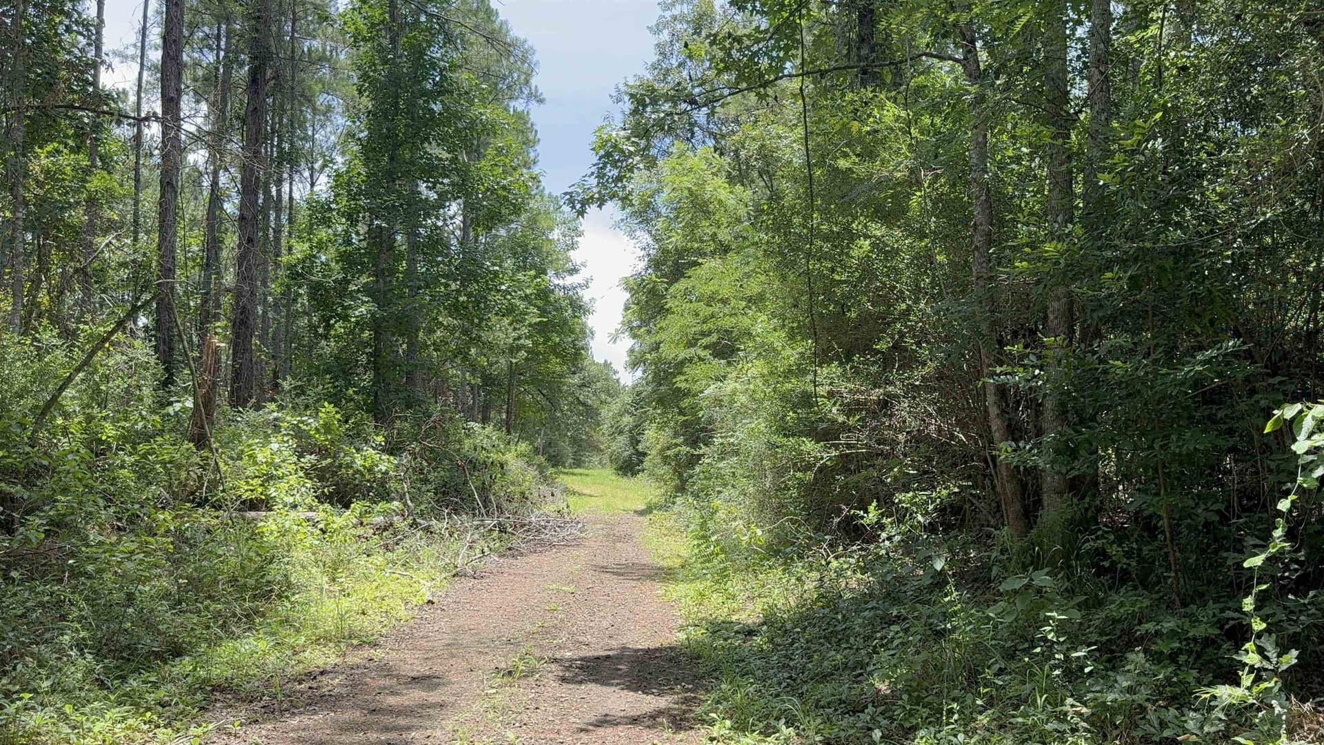 11.68 acres in Texas County - photo 9