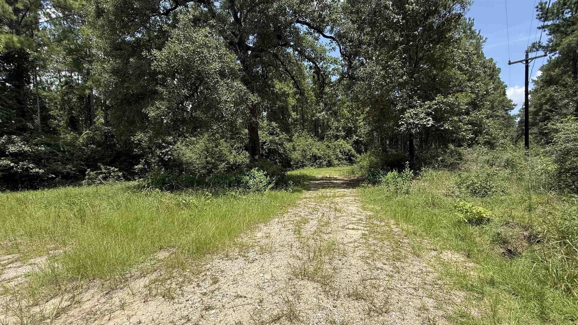 11.68 acres in Texas County - photo 5