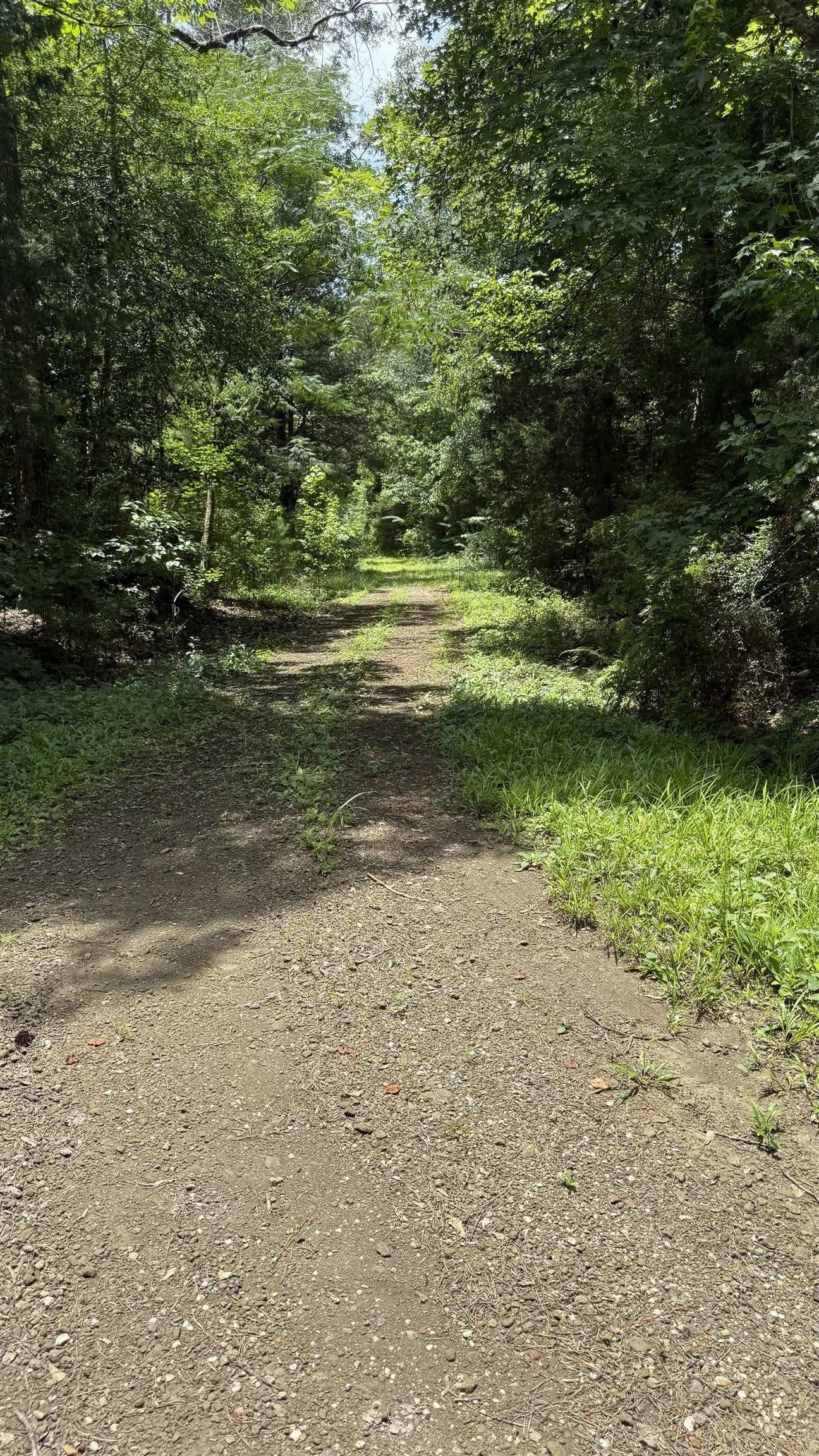11.68 acres in Texas County - photo 8