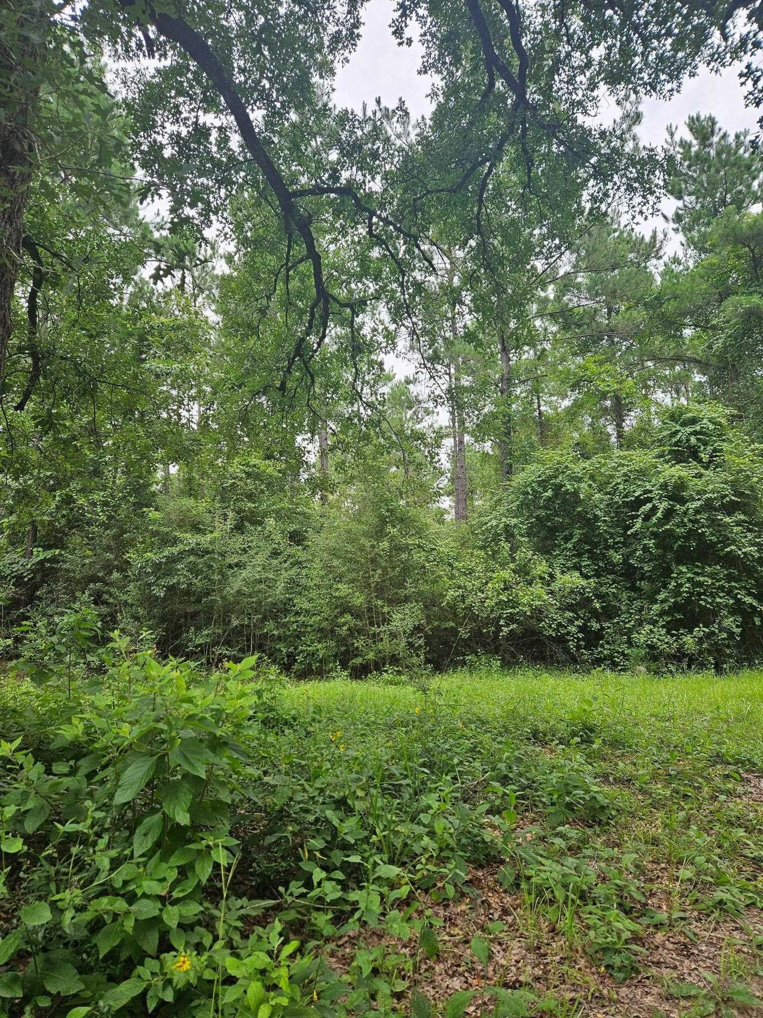 11.68 acres in Texas County - photo 10