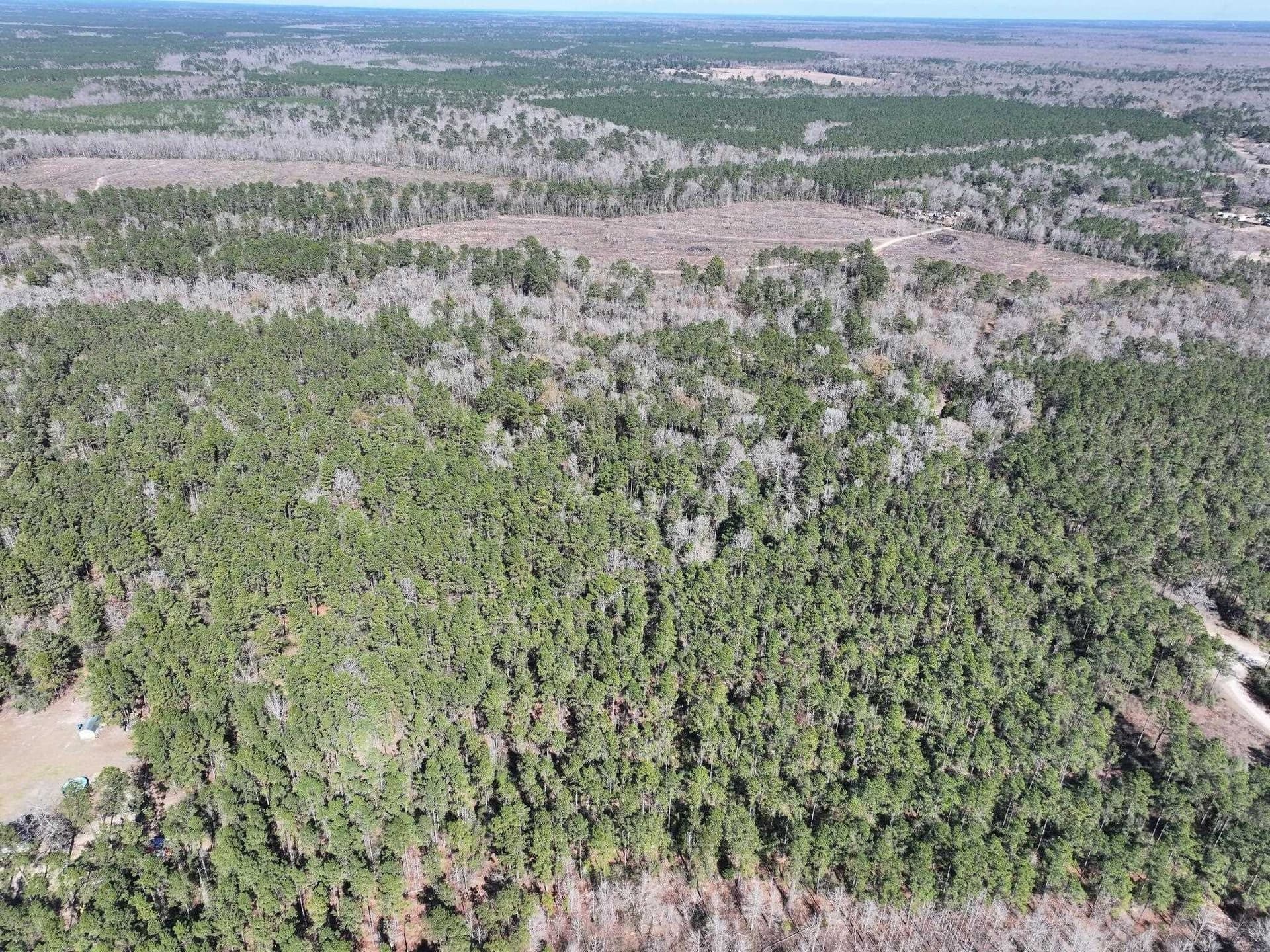 11.68 acres in Texas County - photo 18