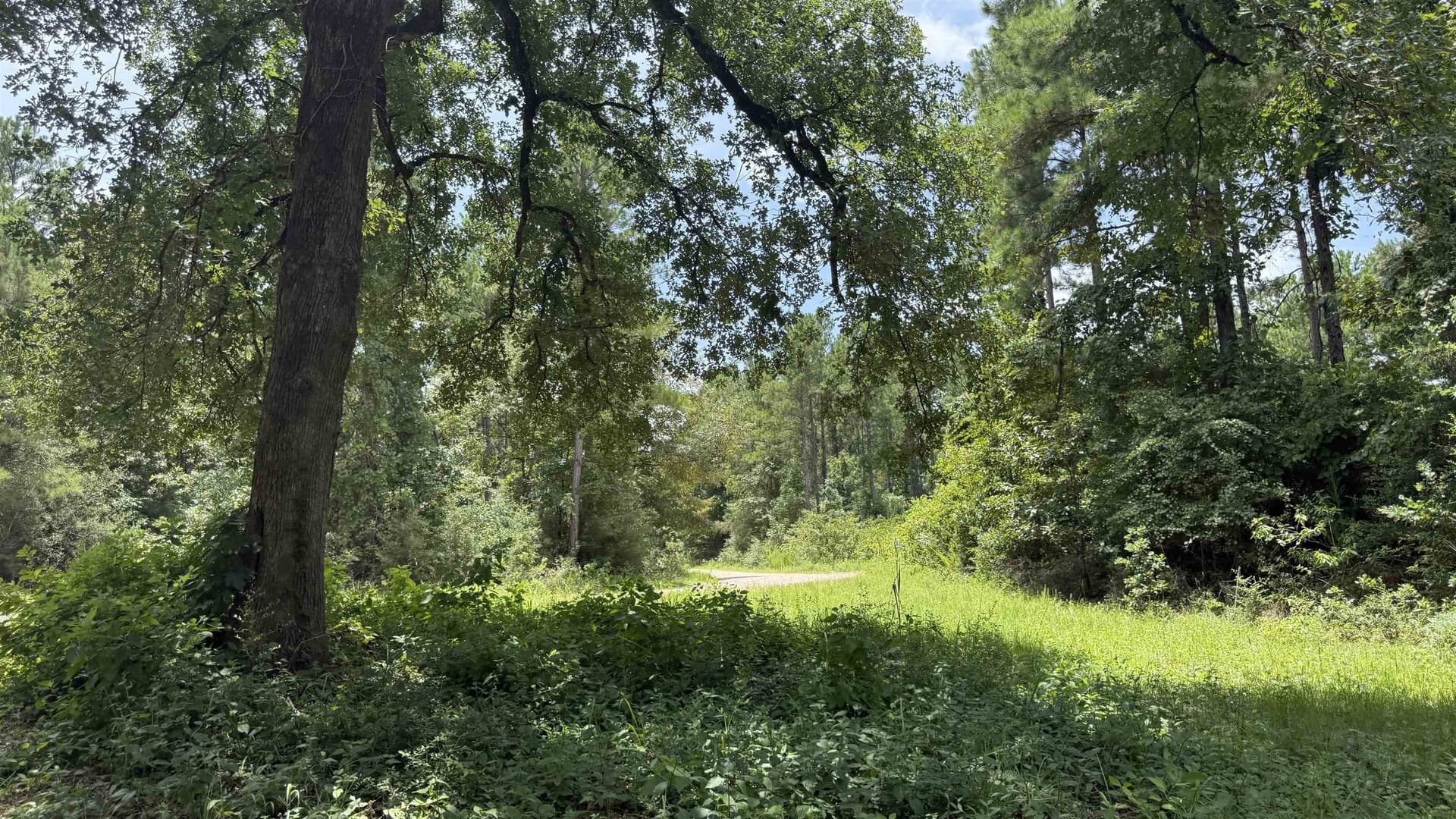 11.68 acres in Texas County - photo 7