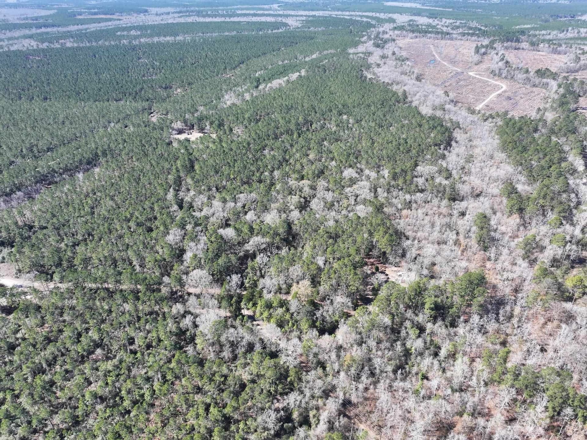 11.68 acres in Texas County - photo 21