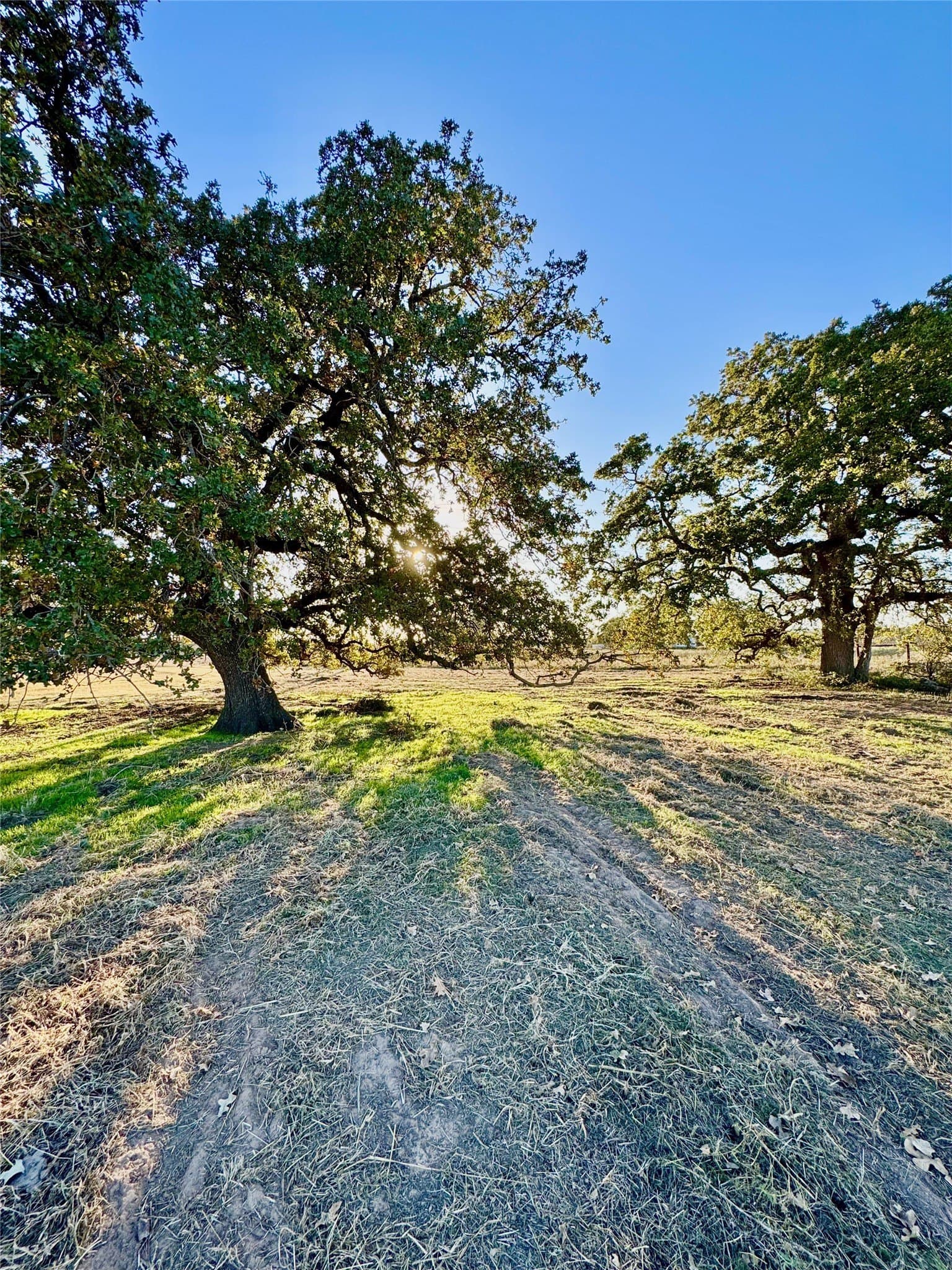 16.52 acres in Hood County - photo 8