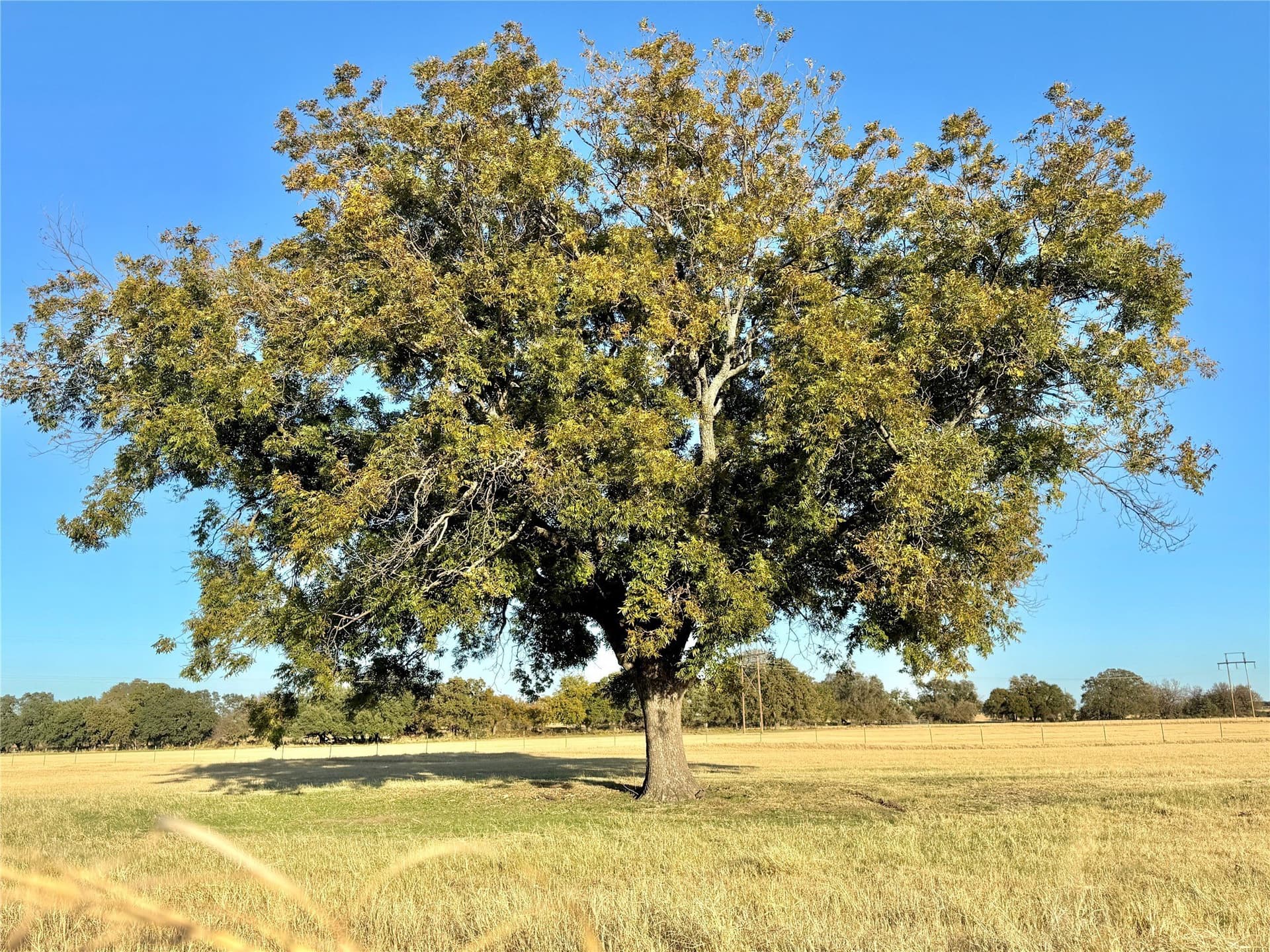 16.52 acres in Hood County - photo 7