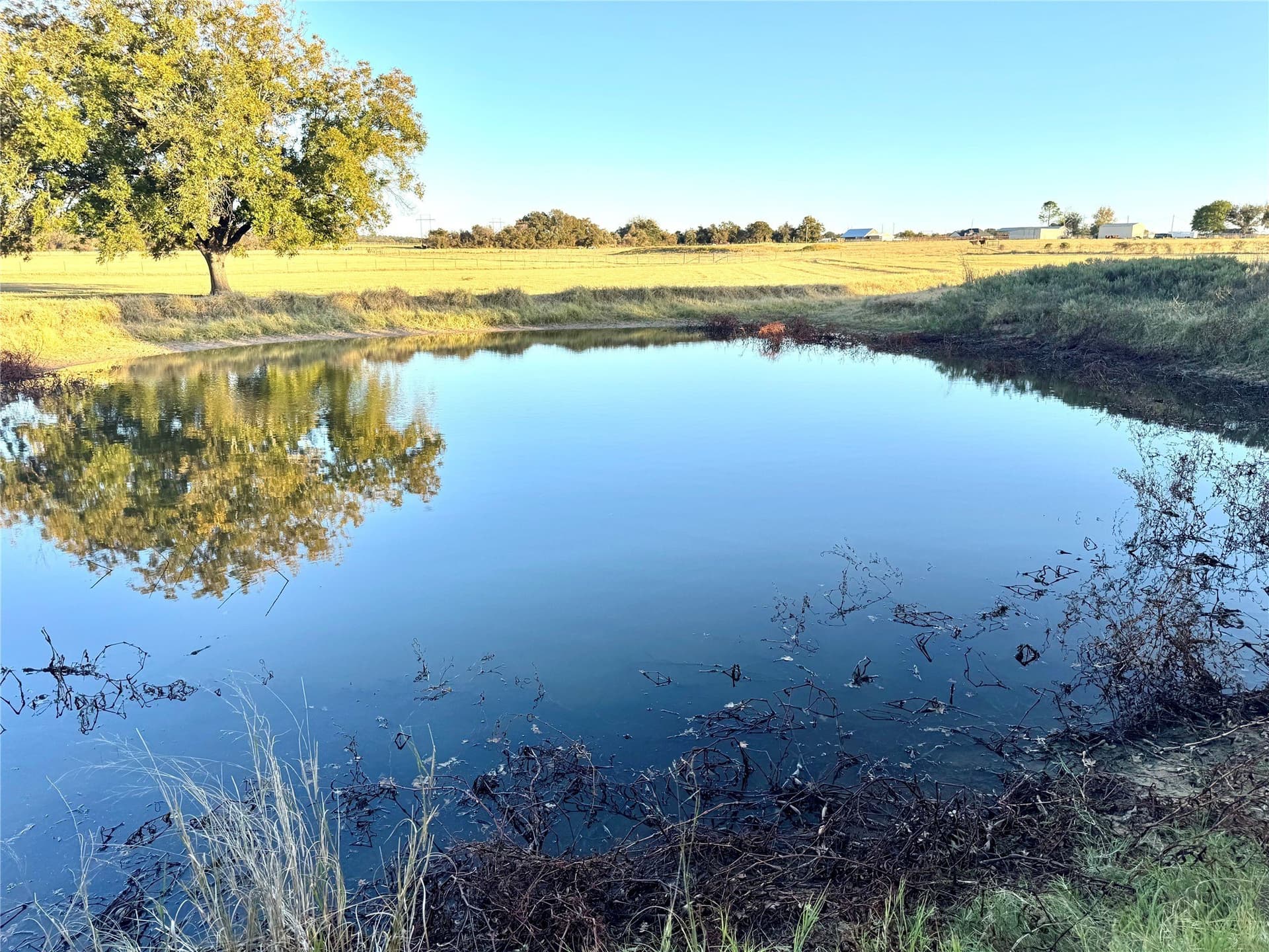 16.52 acres in Hood County - photo 31