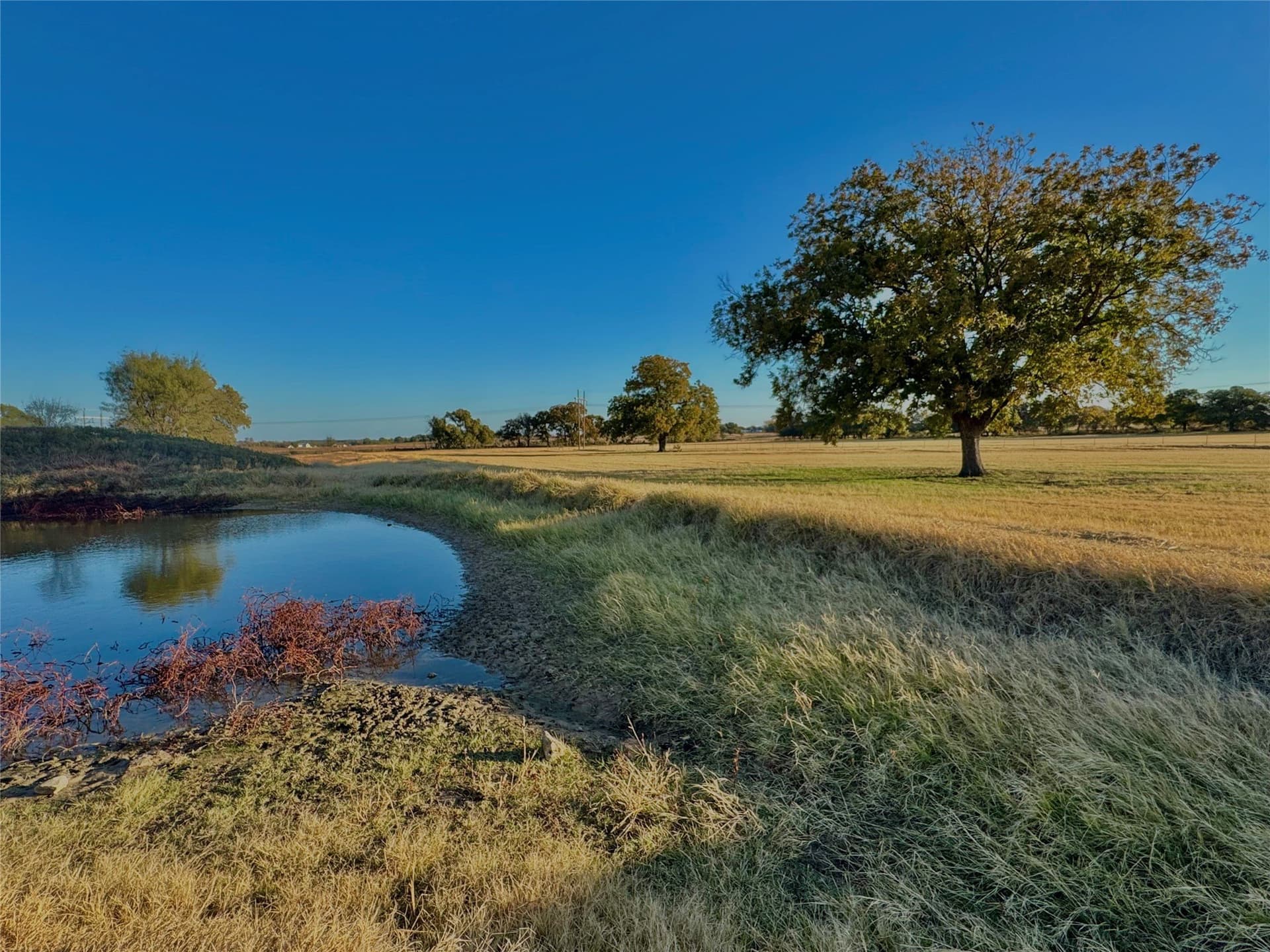 16.52 acres in Hood County - photo 40