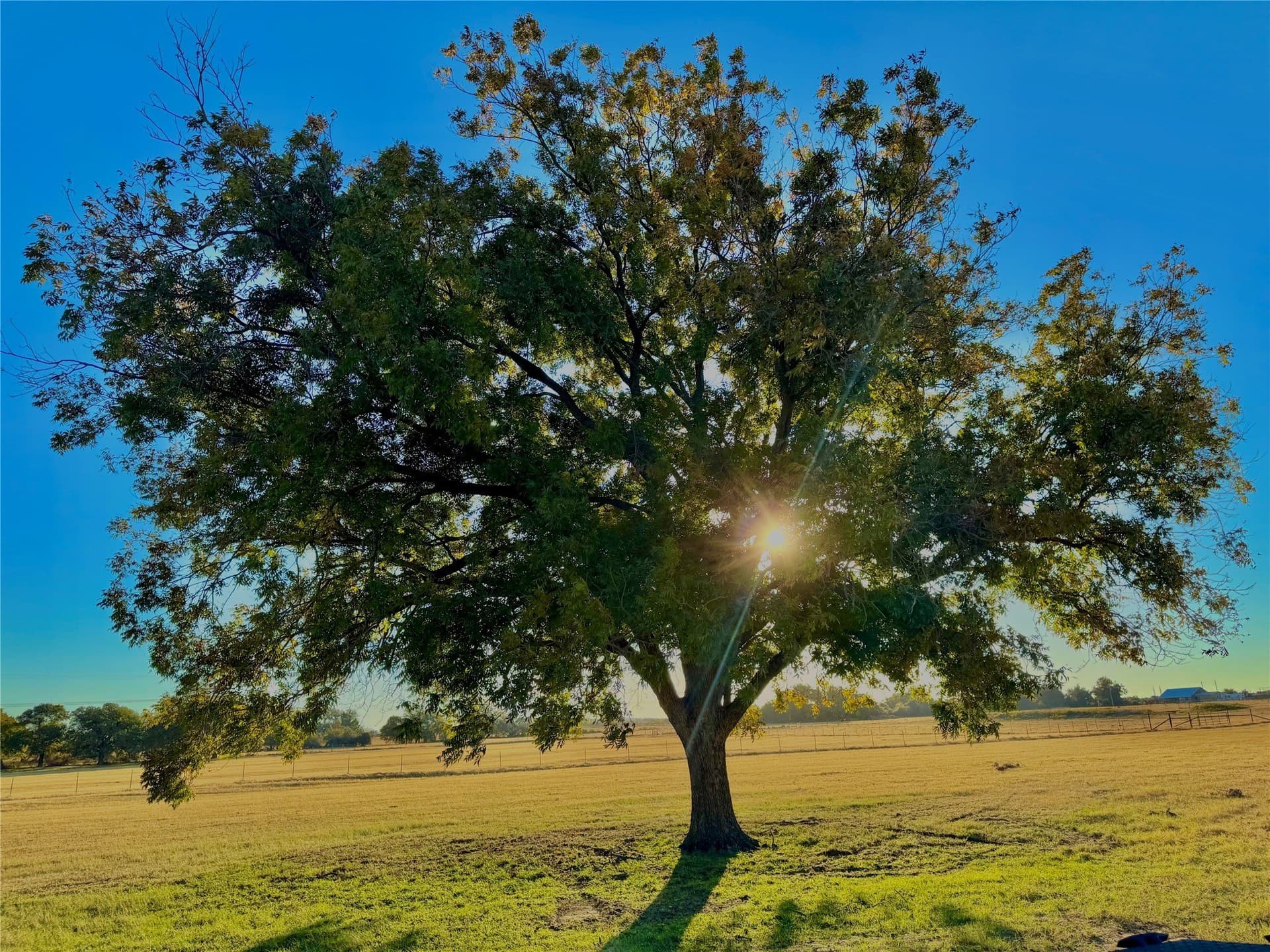 16.52 acres in Hood County - photo 34
