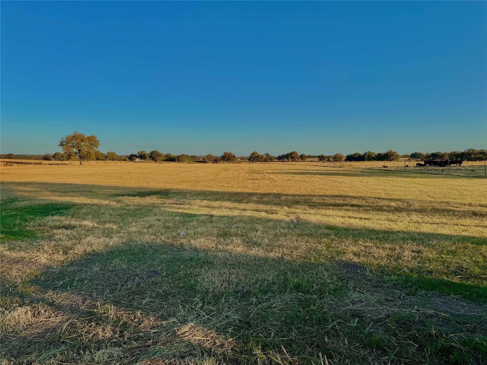 16.52 acres in Hood County - photo 19