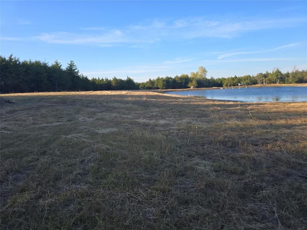 42 acres in Lamar County gallery image 2