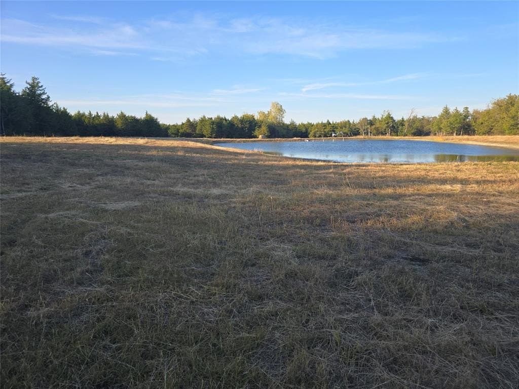 42 acres in Lamar County gallery image 3