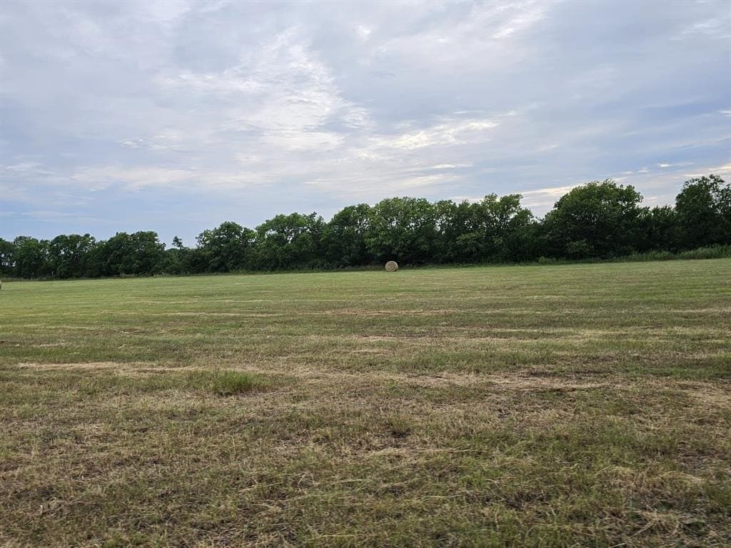 42 acres in Lamar County gallery image 4