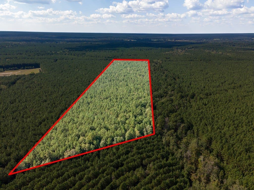 25 acres in Texas County - photo 6
