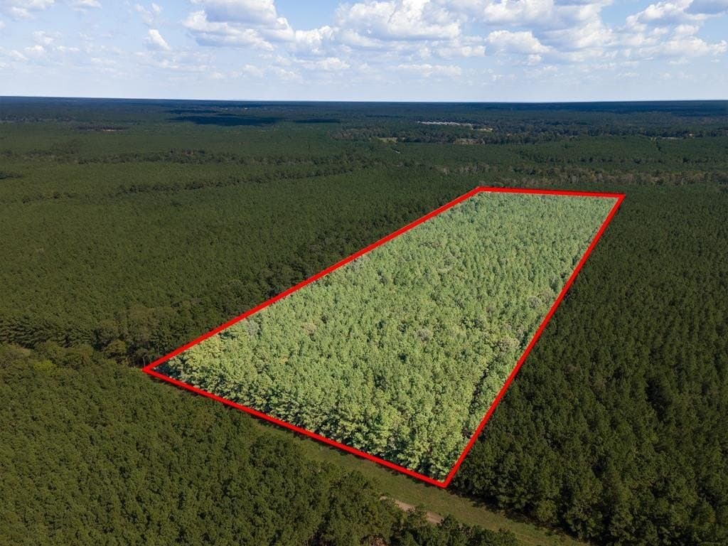 25 acres in Texas County gallery image 3