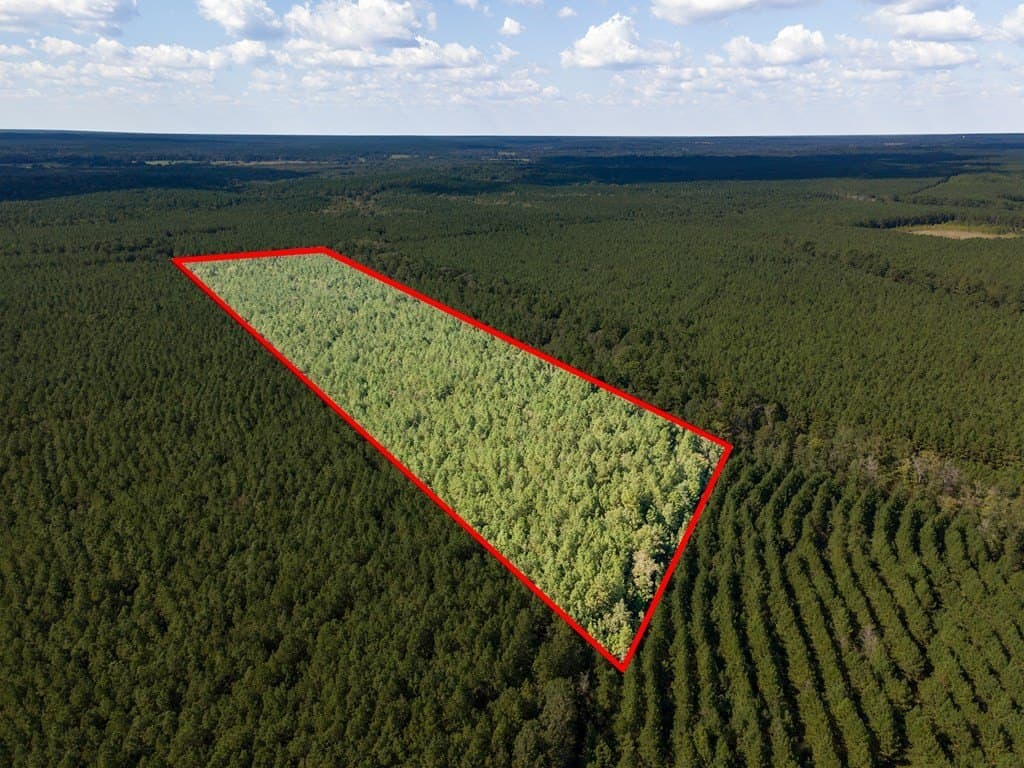 25 acres in Texas County - photo 7