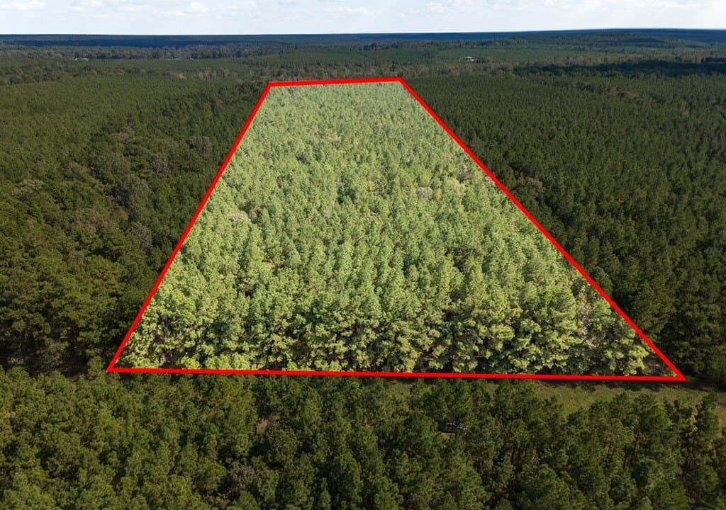 25 acres in Texas County - photo 8