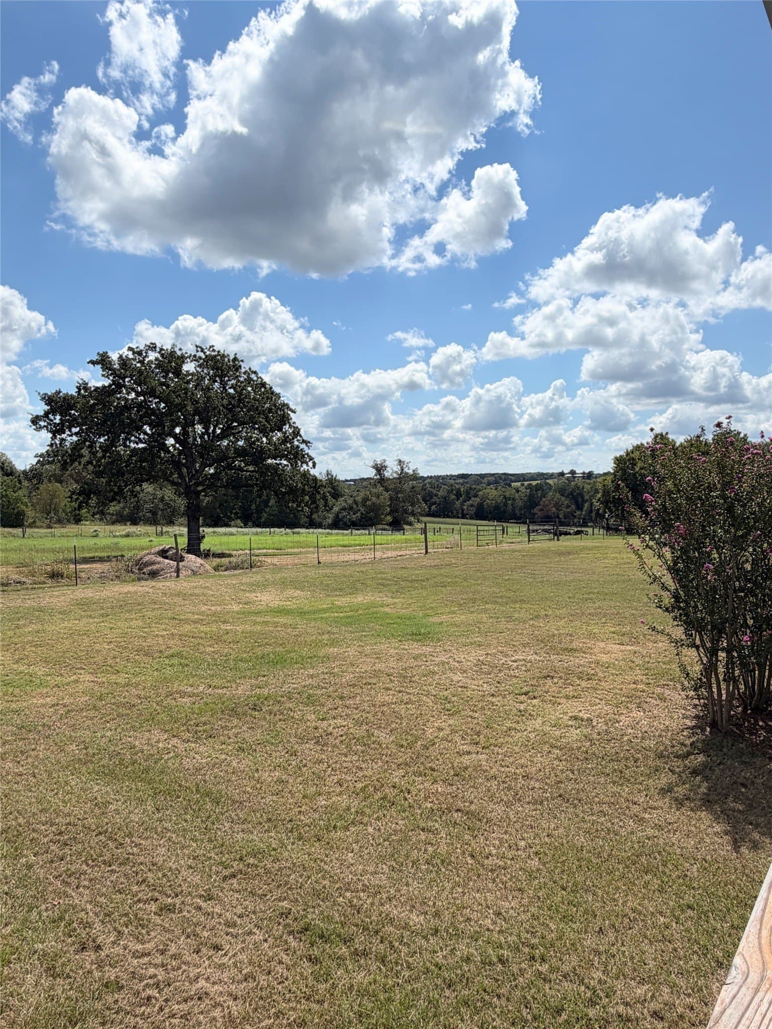 91.58 acres in Freestone County - photo 29