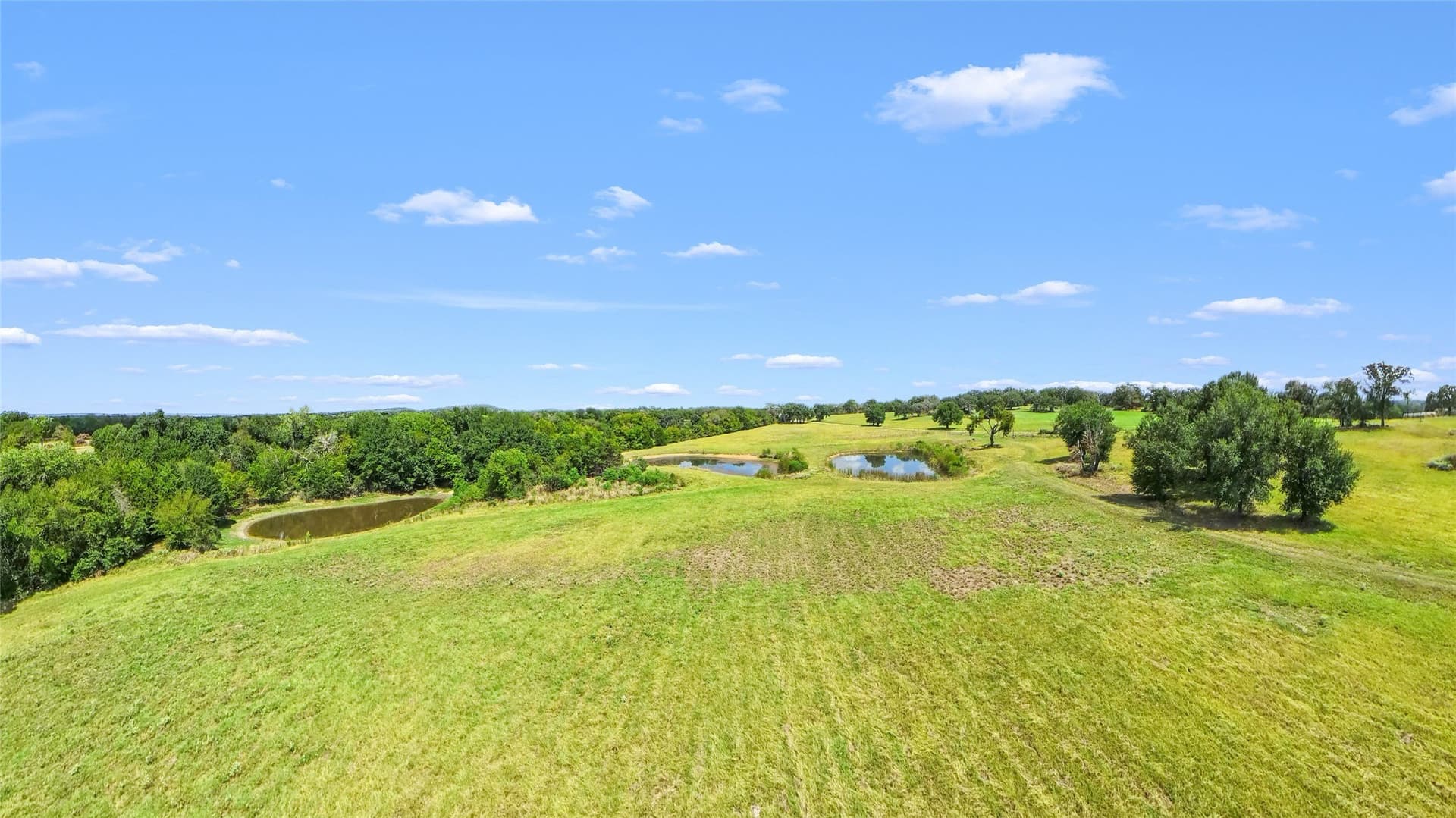 91.58 acres in Freestone County - photo 37