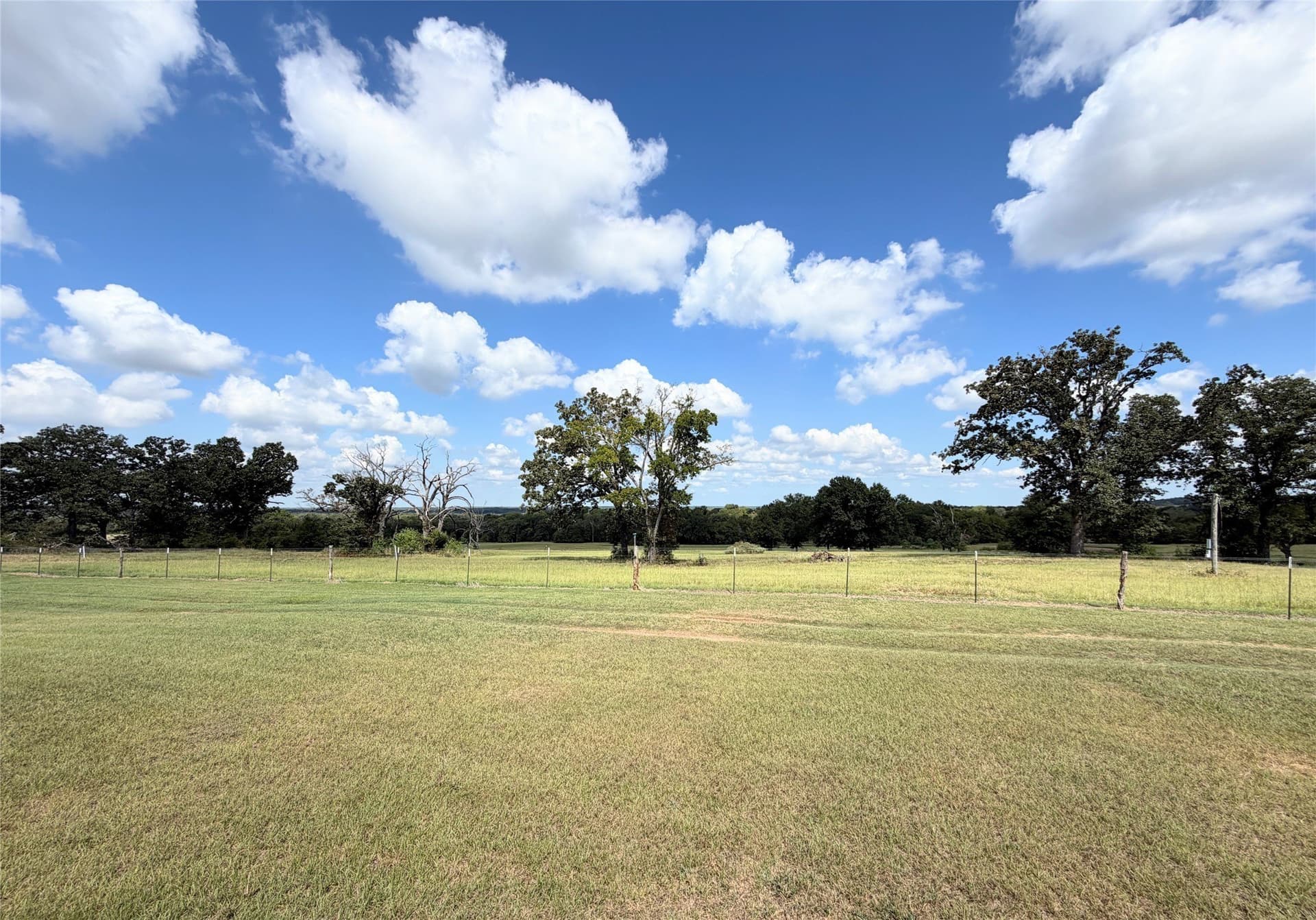 91.58 acres in Freestone County - photo 4