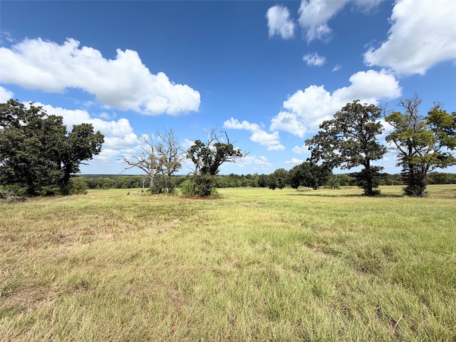 91.58 acres in Freestone County - photo 32
