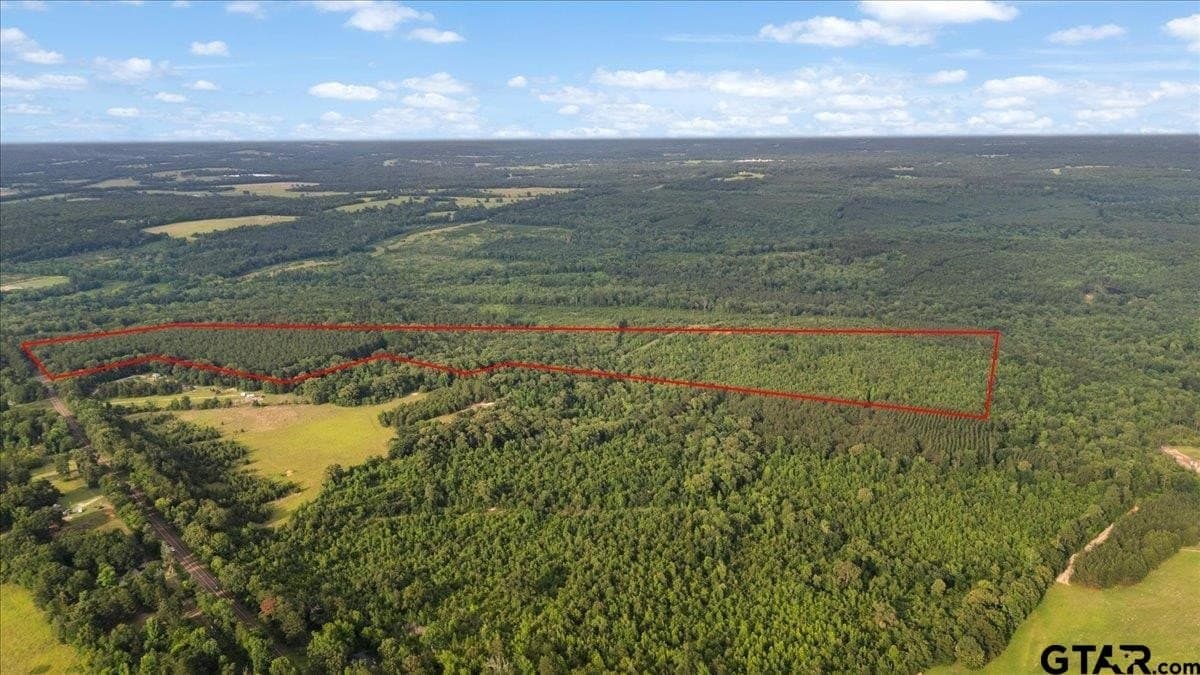 58.43 acres in Rusk County gallery image 2