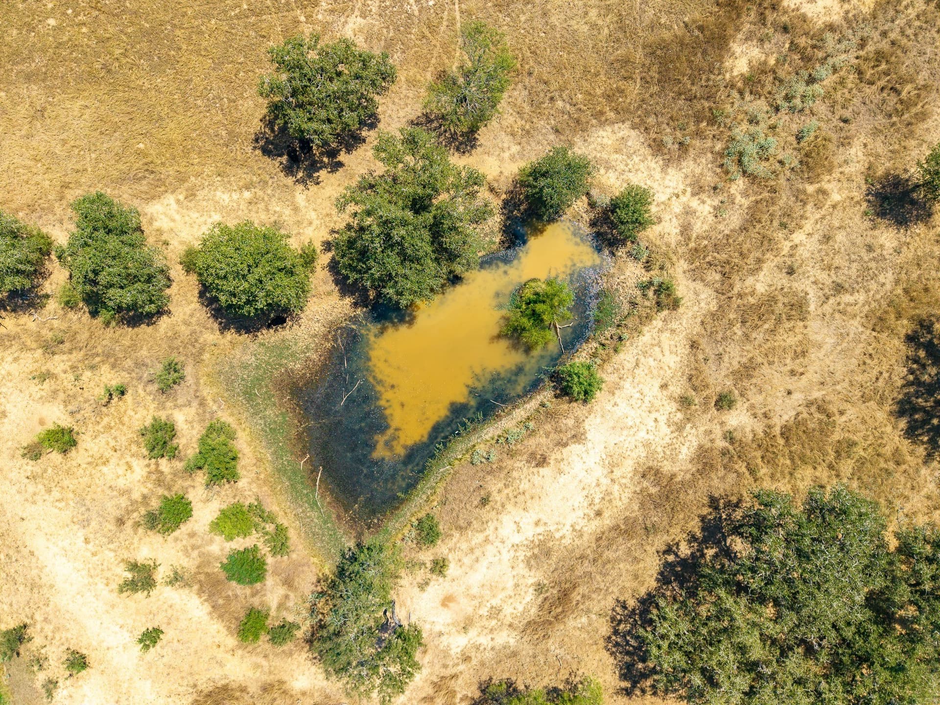 21.16 acres in Guadalupe County - photo 38