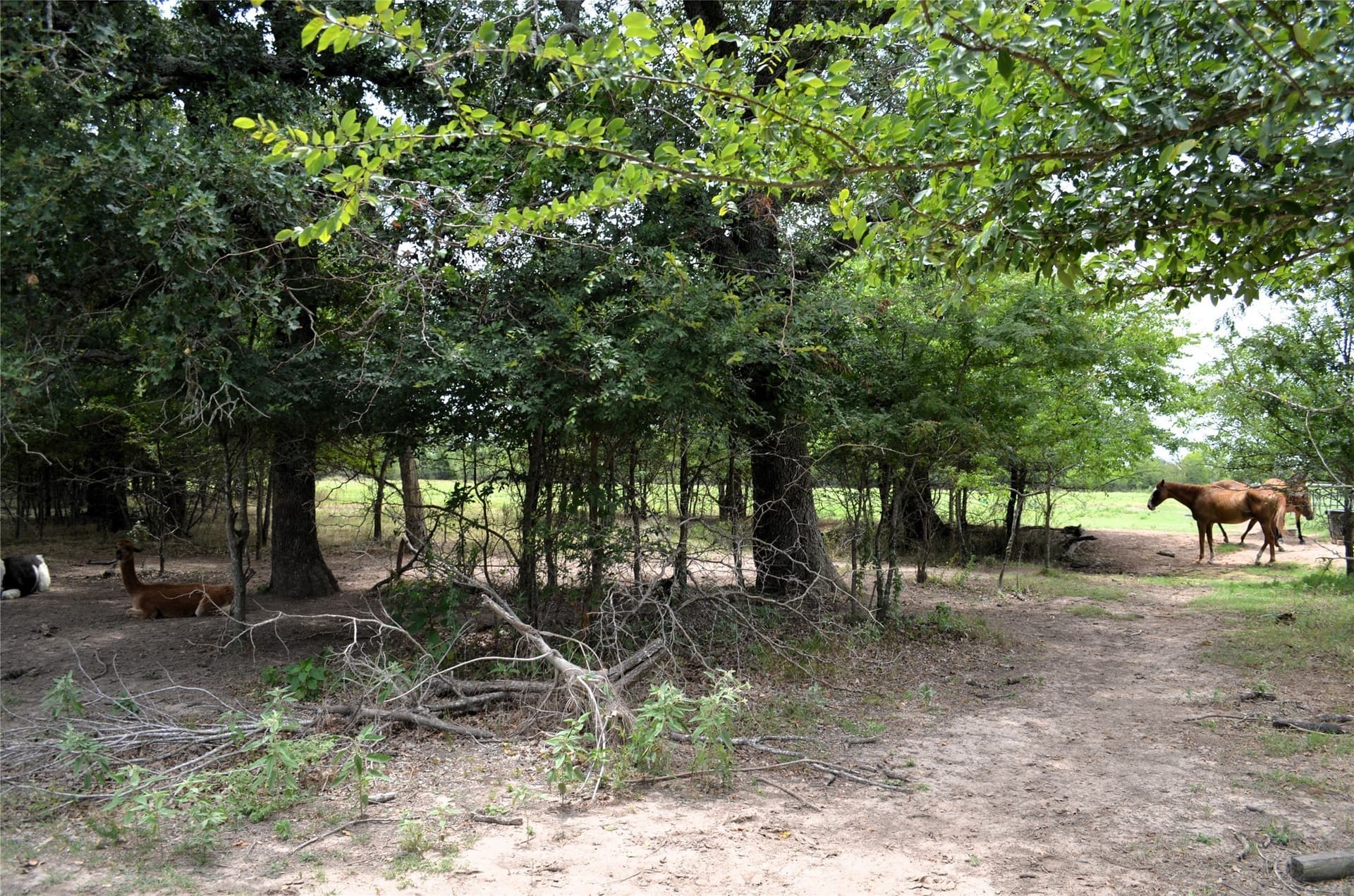 9.71 acres in Van Zandt County - photo 30
