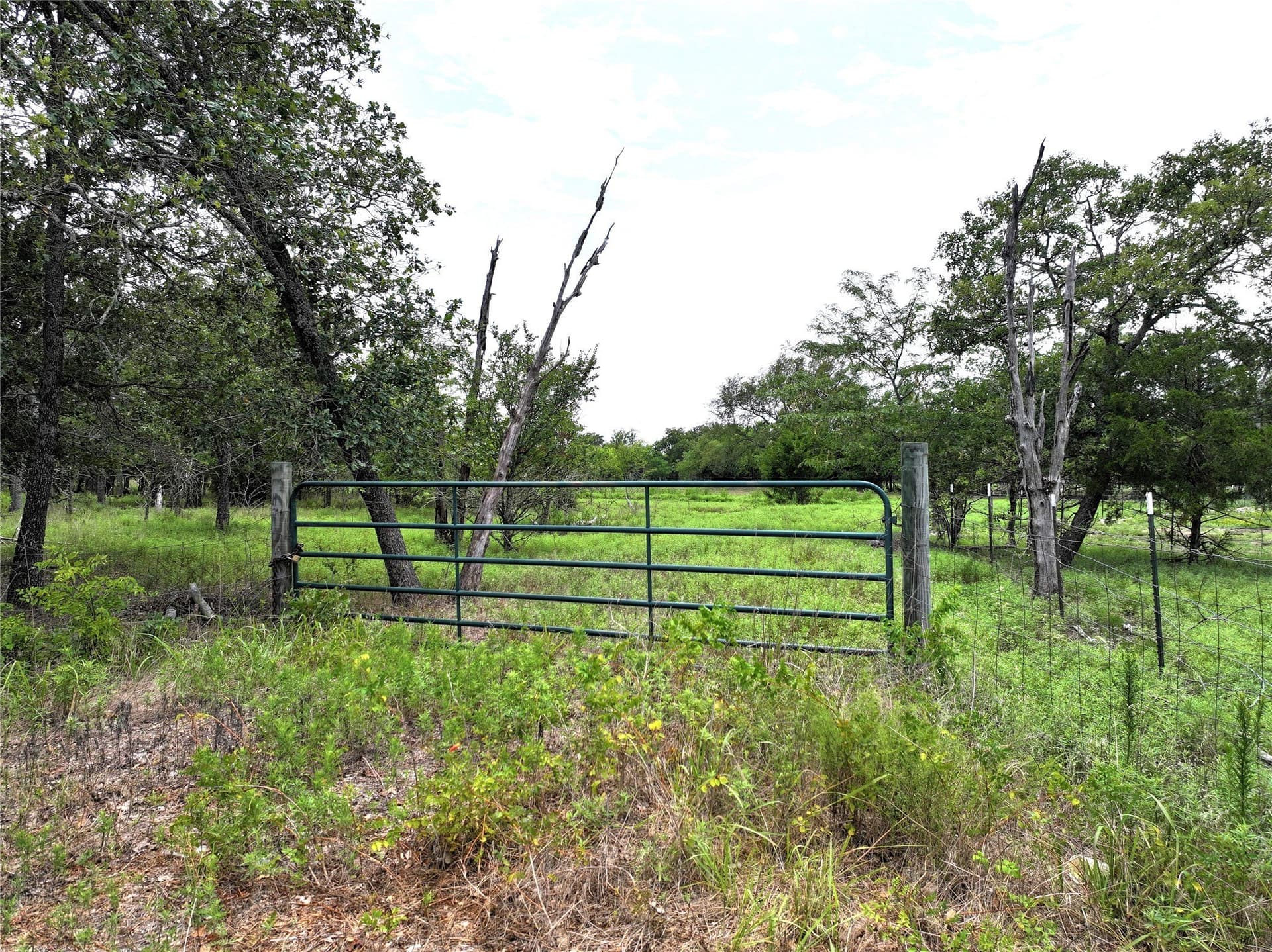 9.71 acres in Van Zandt County gallery image 2