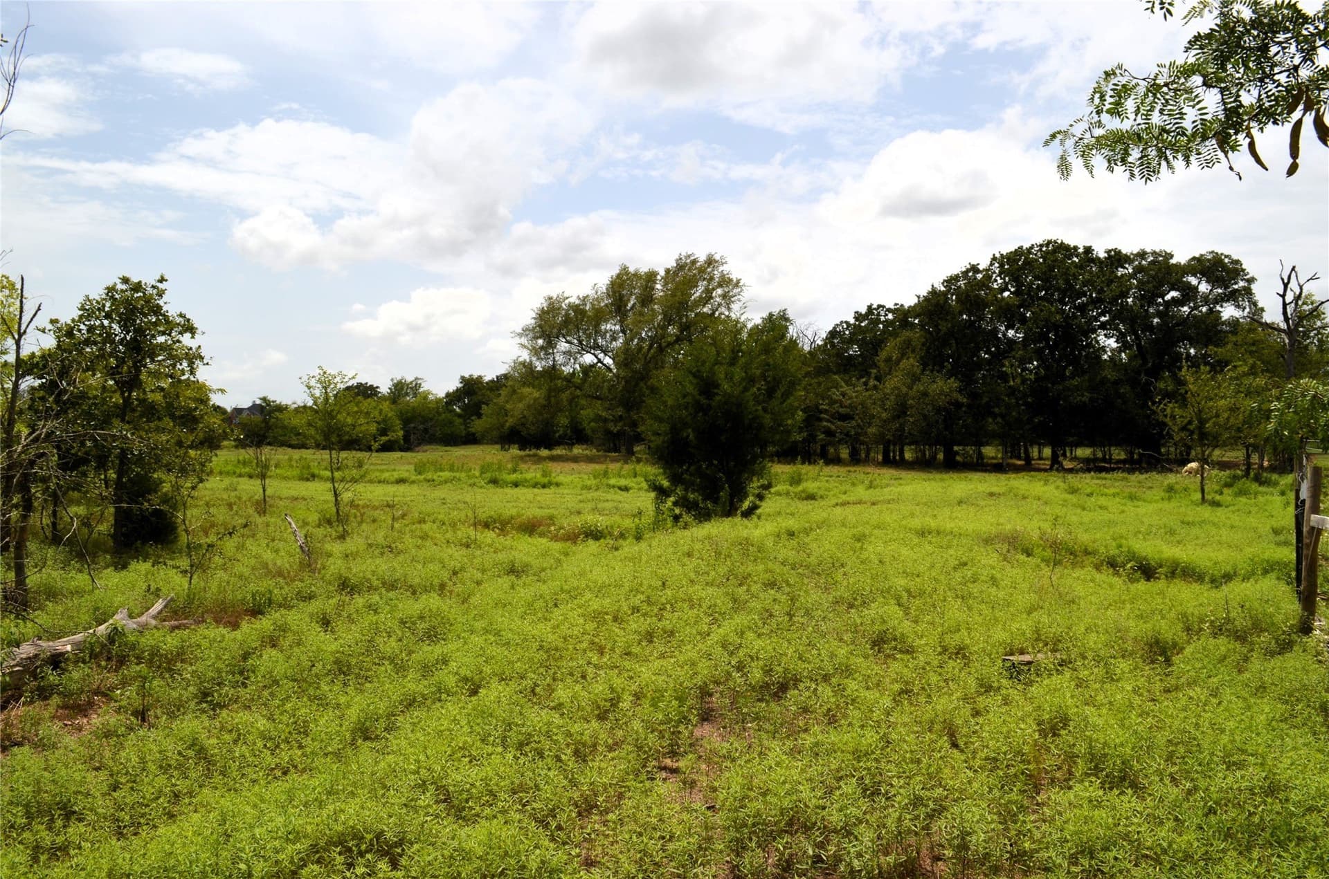 9.71 acres in Van Zandt County - photo 29