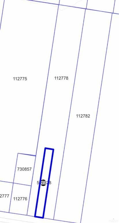 4.03 acres in Hidalgo County gallery image 3