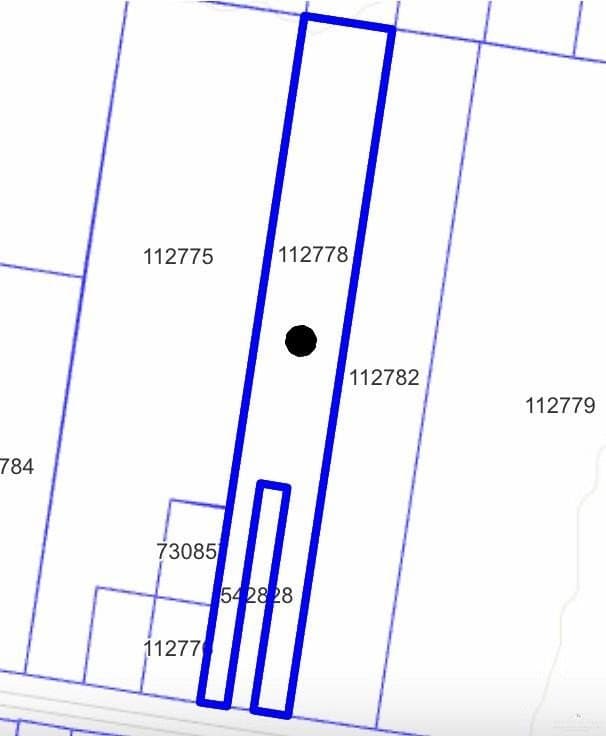 4.03 acres in Hidalgo County gallery image 2