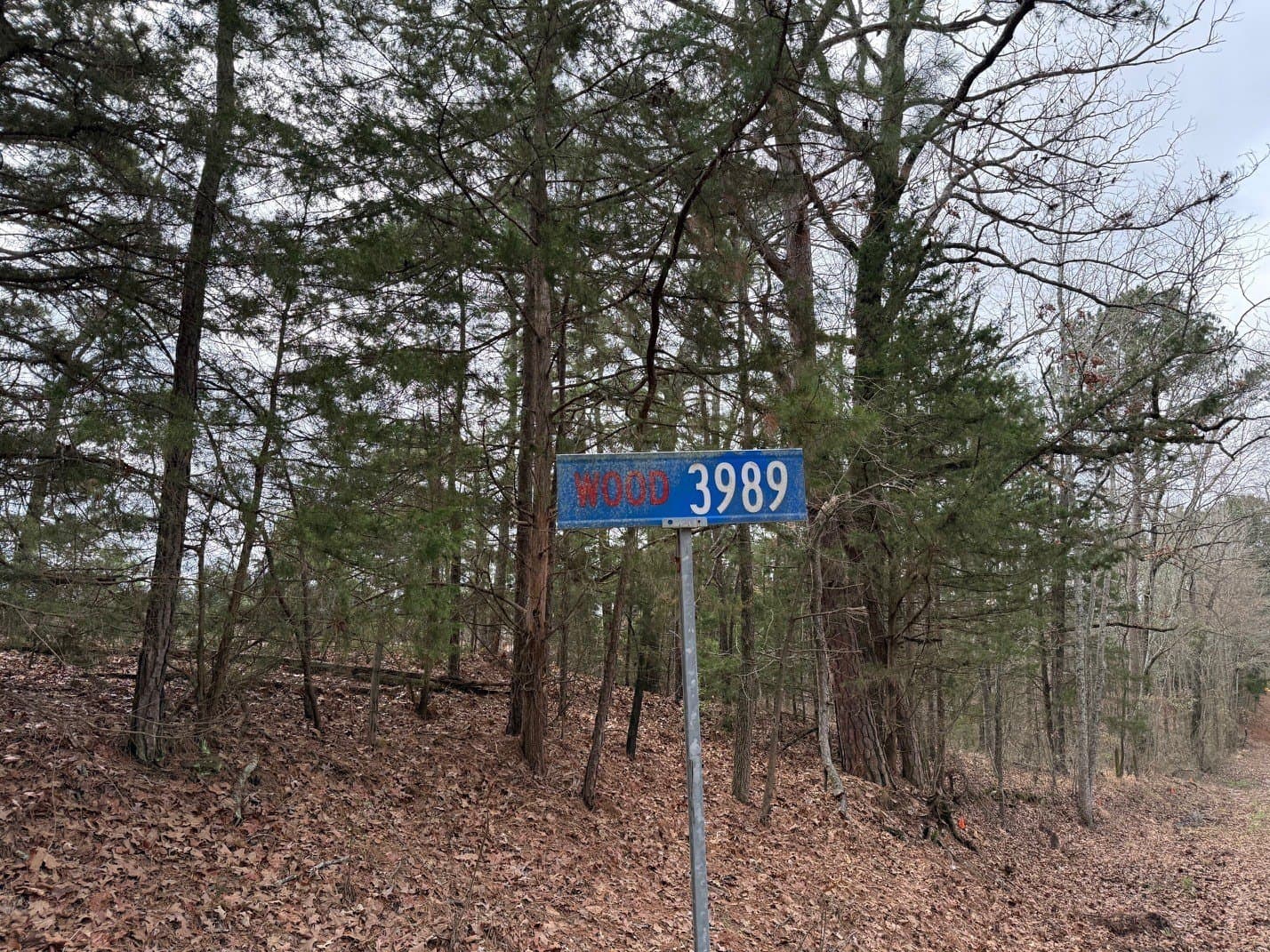 23.68 acres in Wood County - photo 16