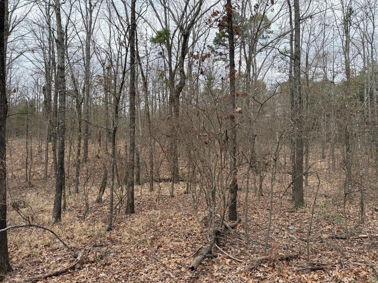 23.68 acres in Wood County - photo 13