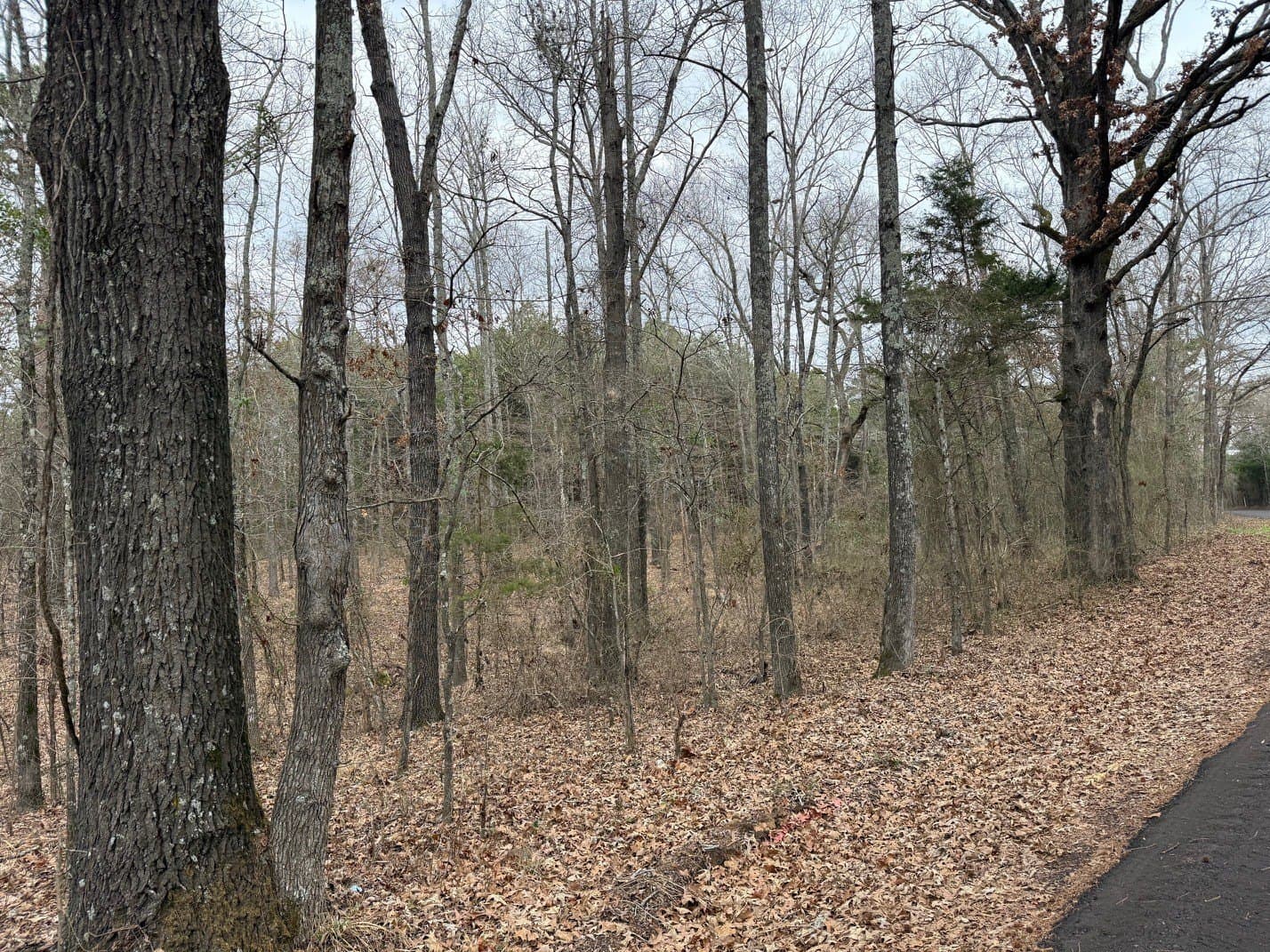 23.68 acres in Wood County - photo 14