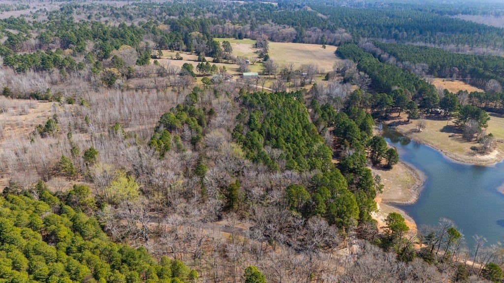 23.68 acres in Wood County - photo 6