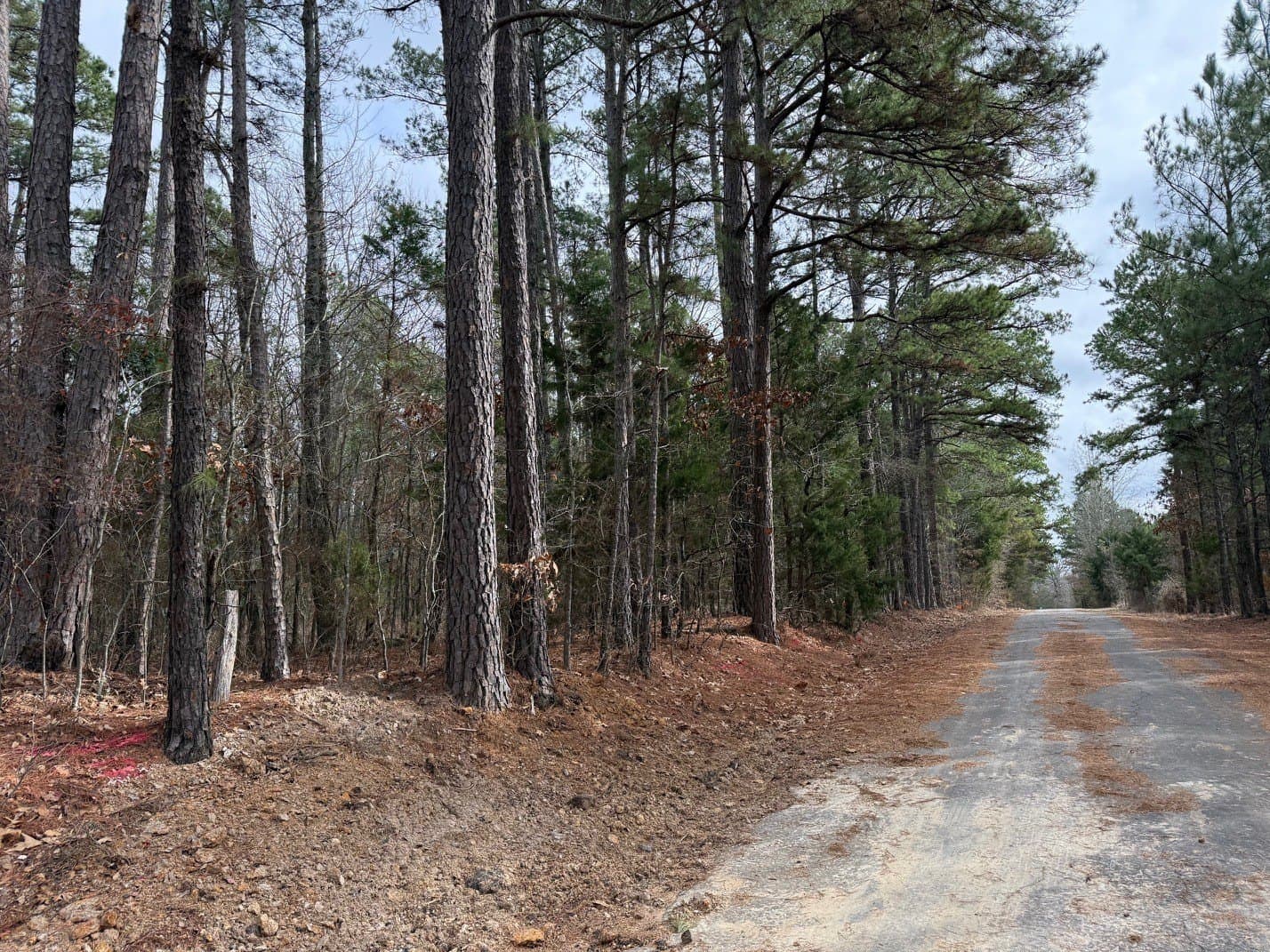 23.68 acres in Wood County - photo 17