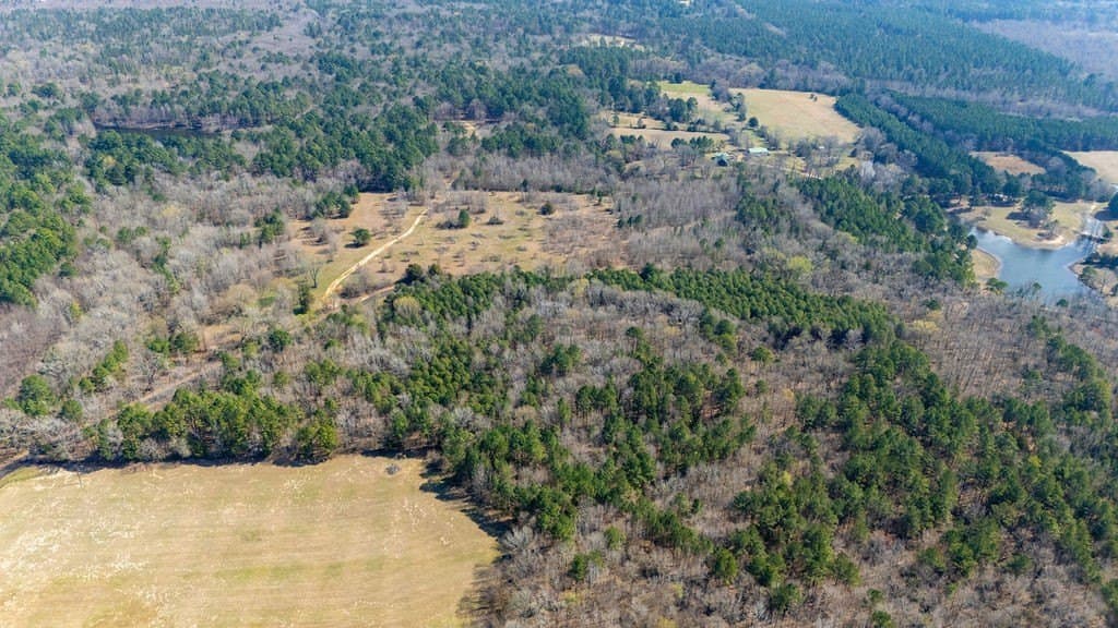 23.68 acres in Wood County - photo 8