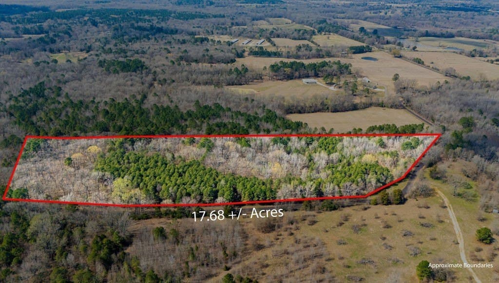 23.68 acres in Wood County - photo 11