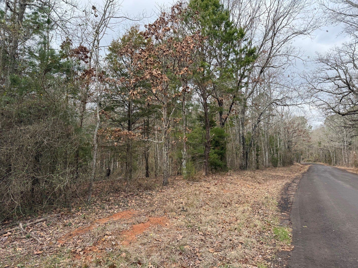 23.68 acres in Wood County - photo 21
