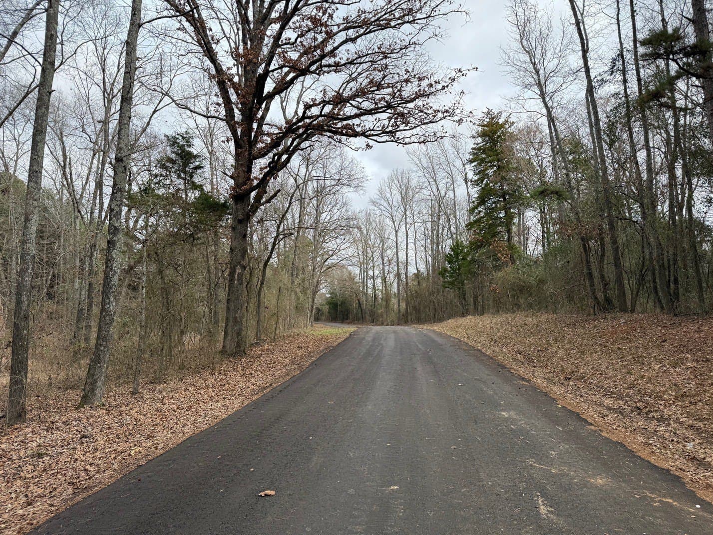 23.68 acres in Wood County - photo 18