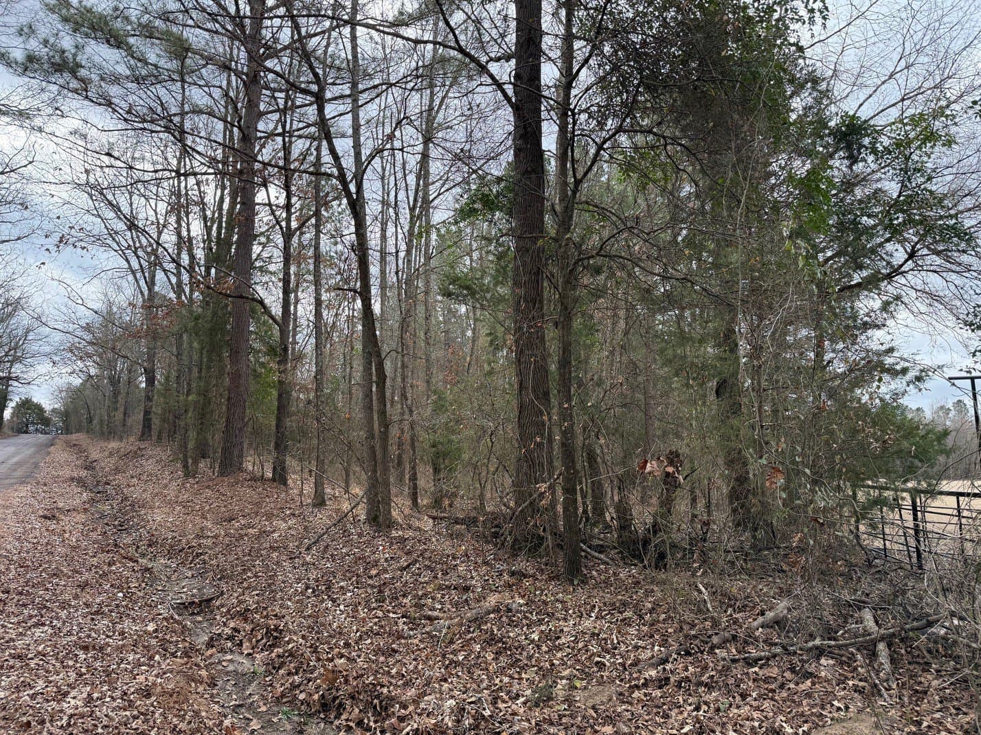 23.68 acres in Wood County - photo 22