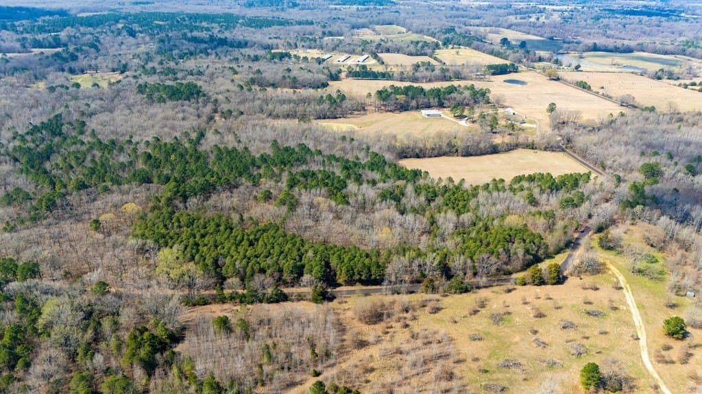 23.68 acres in Wood County - photo 12