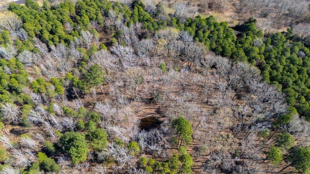 23.68 acres in Wood County - photo 4