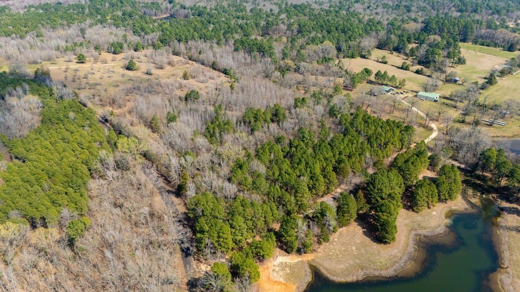 23.68 acres in Wood County - photo 10